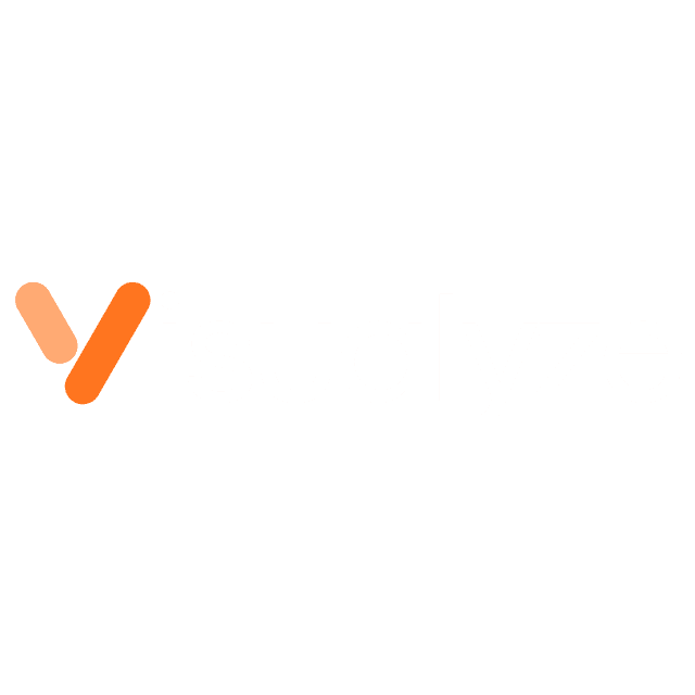 Visualyze logo